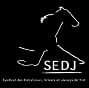 Sedj
